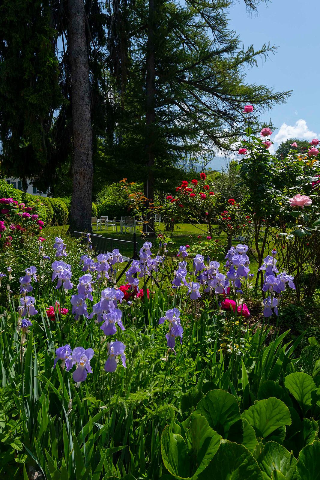 Jardin de l'hôtel Beau Séjour - lac d'Annecy
