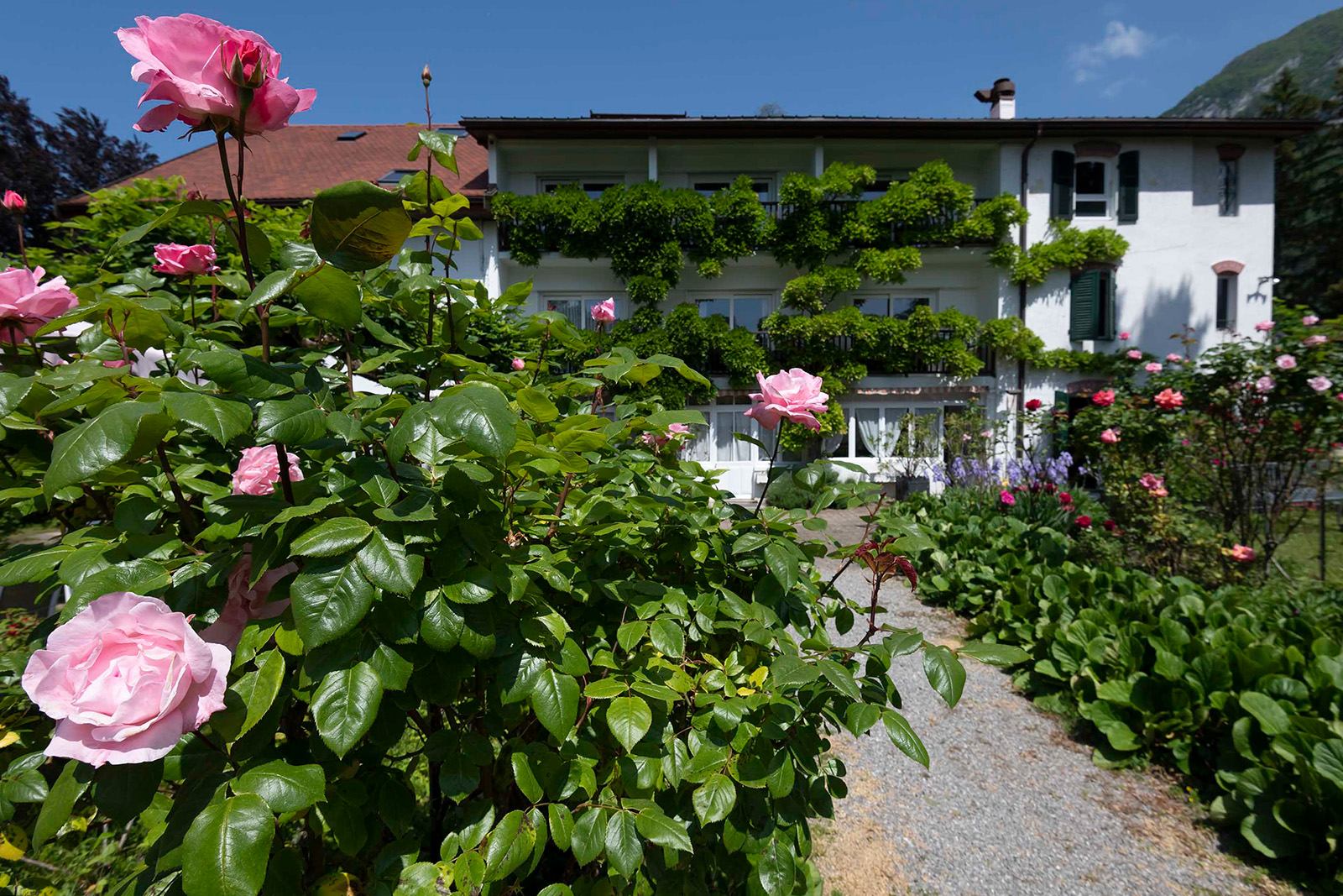 Jardin de l'hôtel Beau Séjour - lac d'Annecy